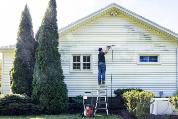 Best Affordable Pressure Washing  in Newfoundland, NJ